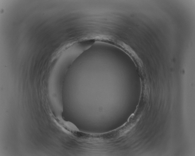 X0000086220577200704051242