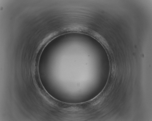 X0000086220578200704051242