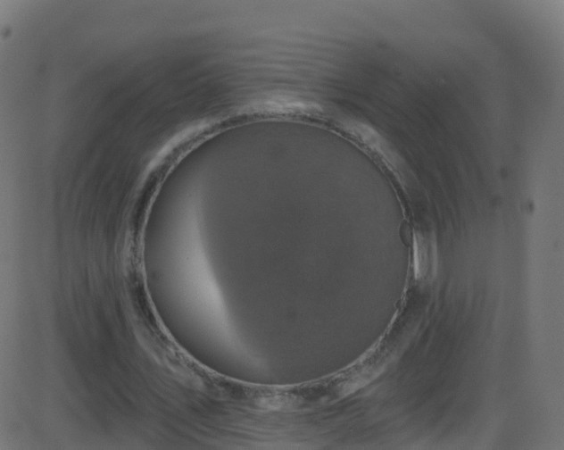 X0000086220579200704051242