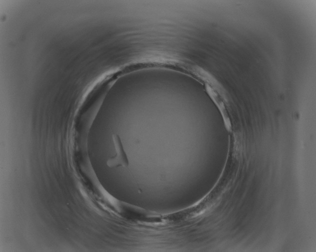 X0000086220580200704051242