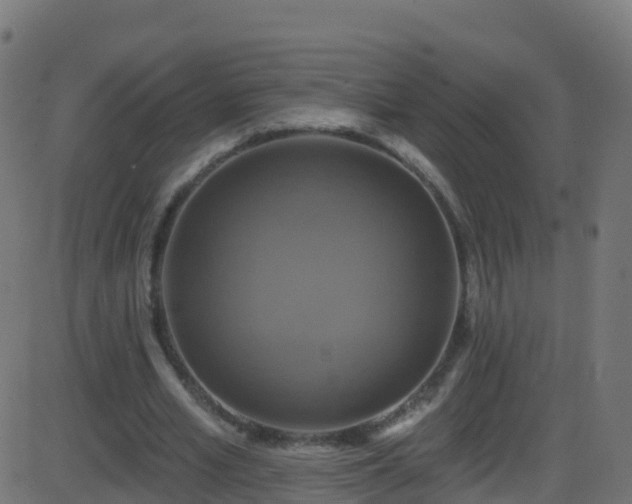 X0000086220581200704051242