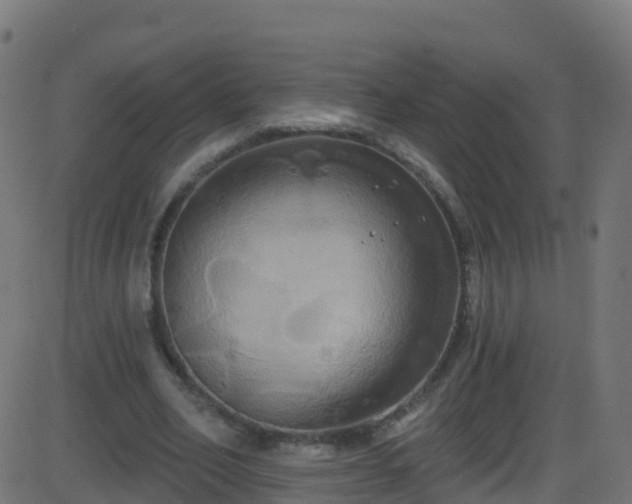 X0000086220582200704051242