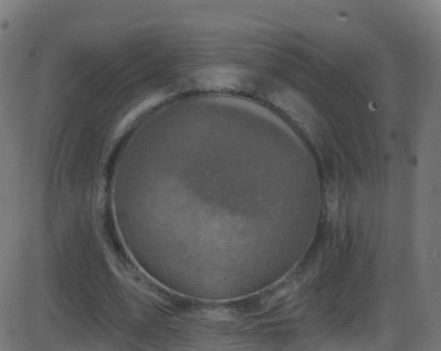 X0000086220583200704051242