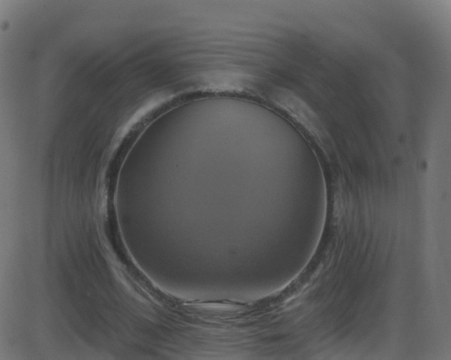 X0000086220584200704051242