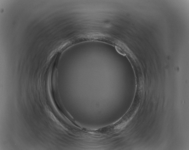 X0000086220585200704051242