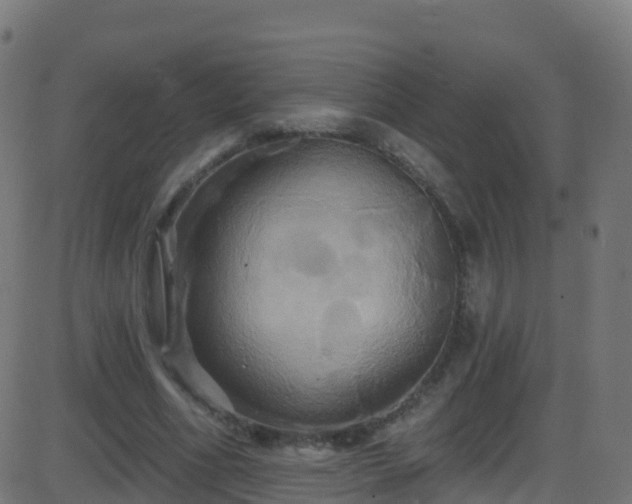 X0000086220586200704051242