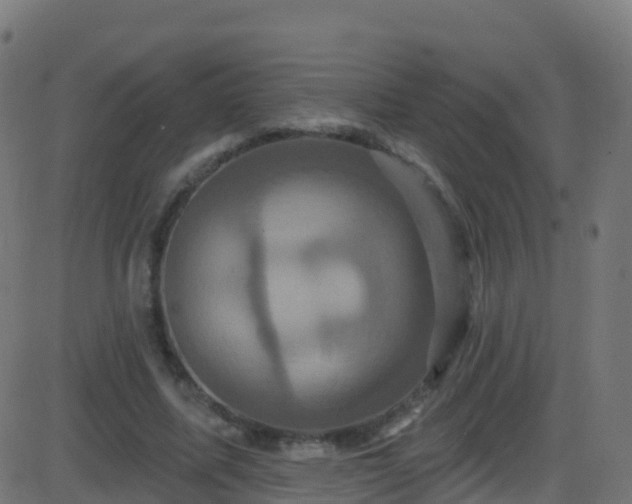 X0000086220587200704051242