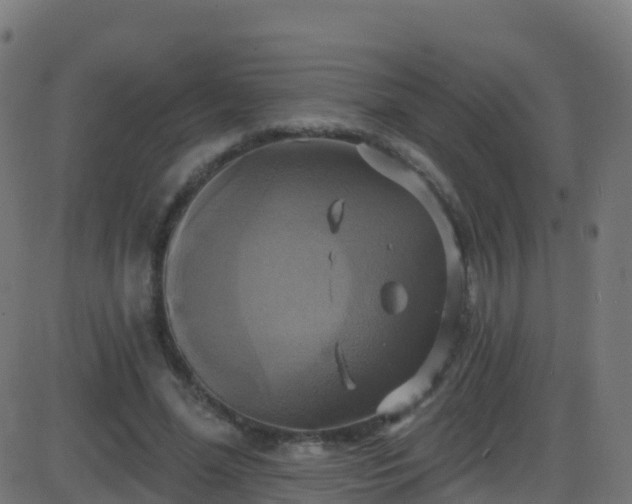 X0000086220588200704051242