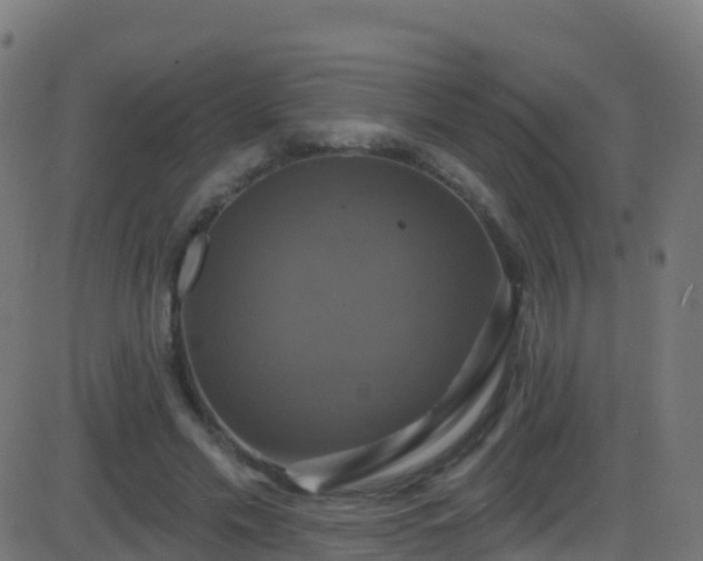 X0000086220589200704051242