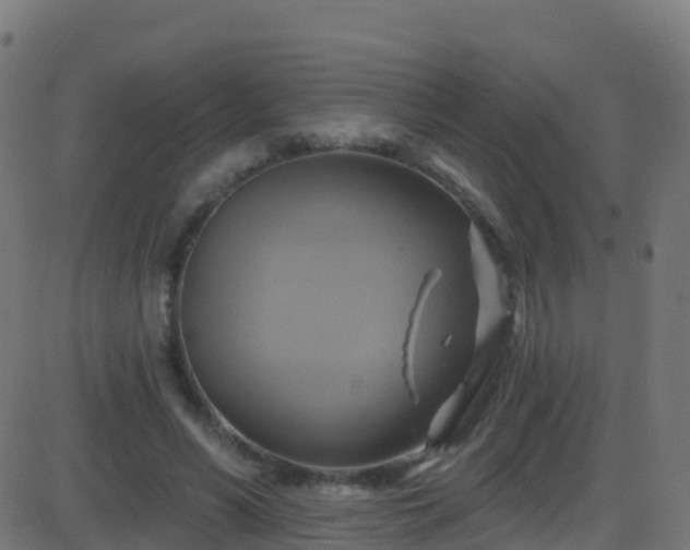 X0000086220590200704051242