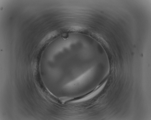 X0000086220591200704051242