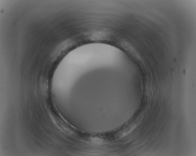 X0000086220592200704051242