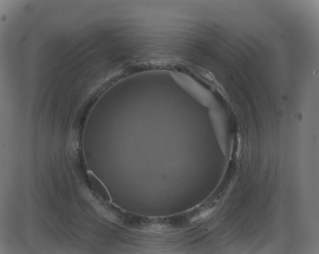 X0000086220593200704051242