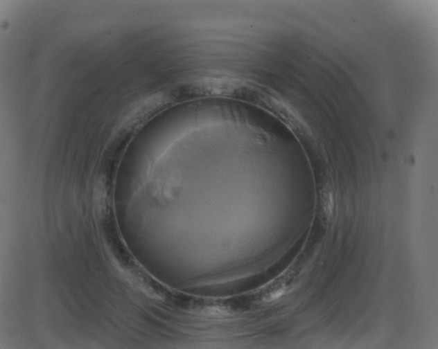 X0000086220594200704051242