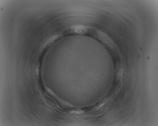 X0000086220595200704051242