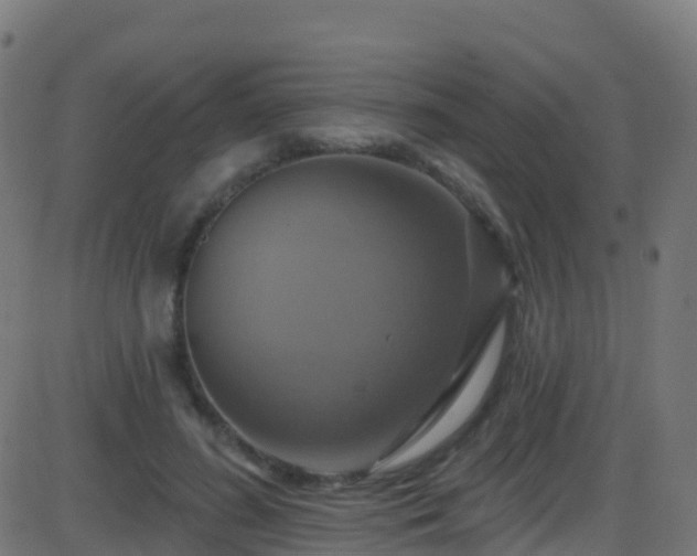 X0000086220596200704051242