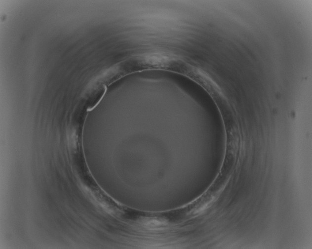 X0000086220597200704051242