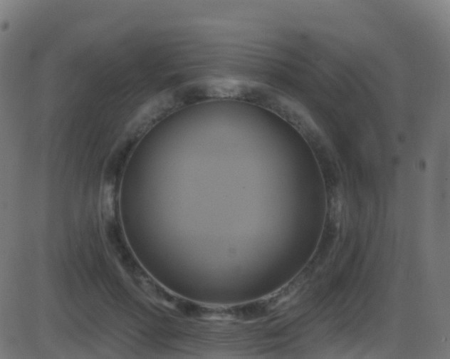 X0000086220598200704051242