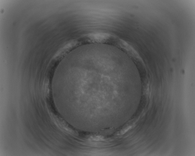 X0000086220599200704051242