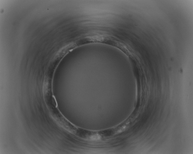 X0000086220600200704051242