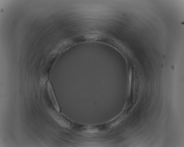 X0000086220601200704051242