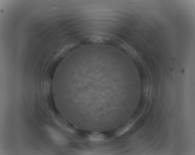 X0000086220603200704051242