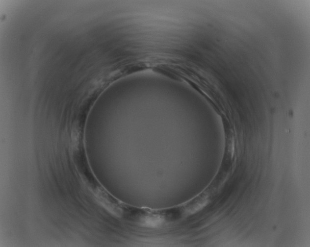 X0000086220604200704051242