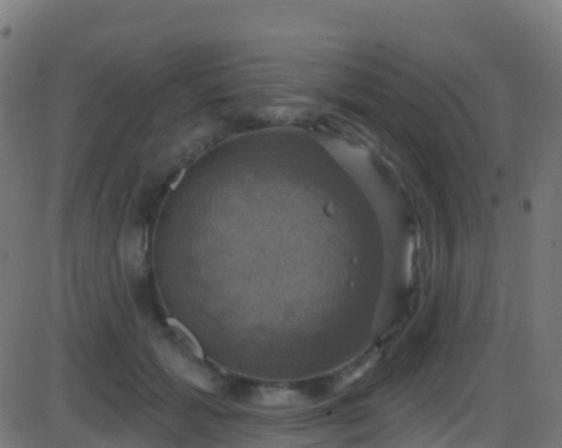 X0000086220605200704051242