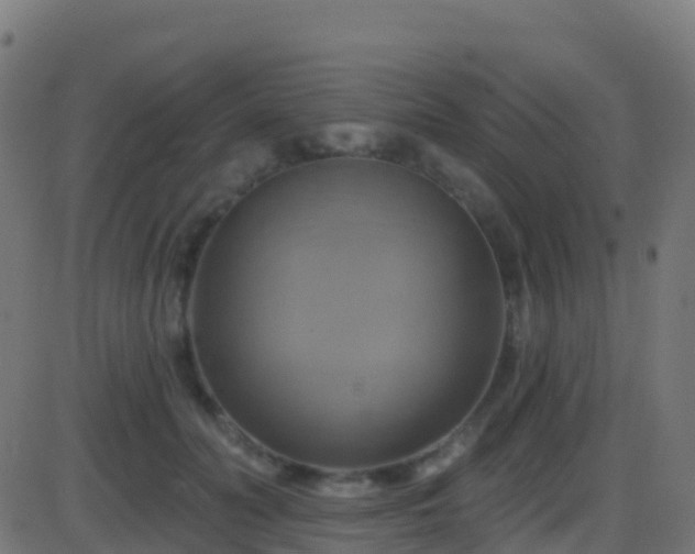 X0000086220606200704051242