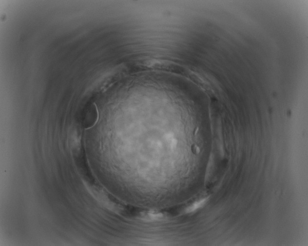 X0000086220607200704051242