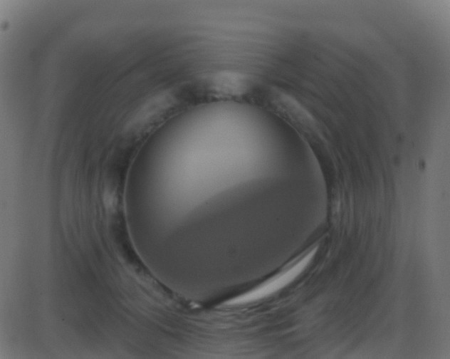 X0000086220608200704051242