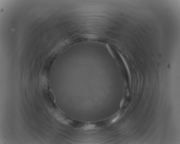 X0000086220609200704051242