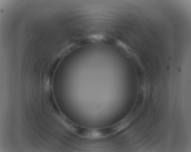 X0000086220610200704051242