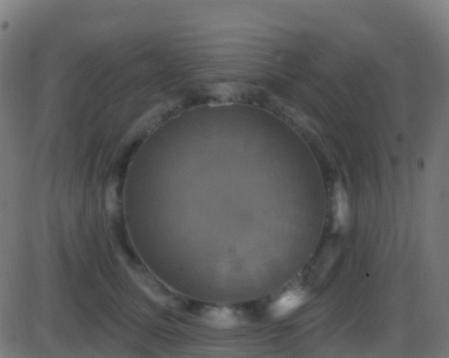 X0000086220611200704051242