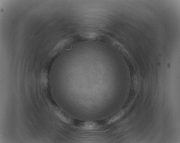 X0000086220612200704051242