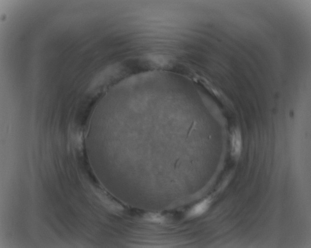 X0000086220613200704051242