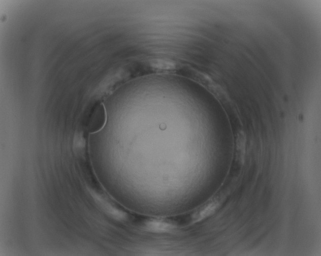 X0000086220614200704051242