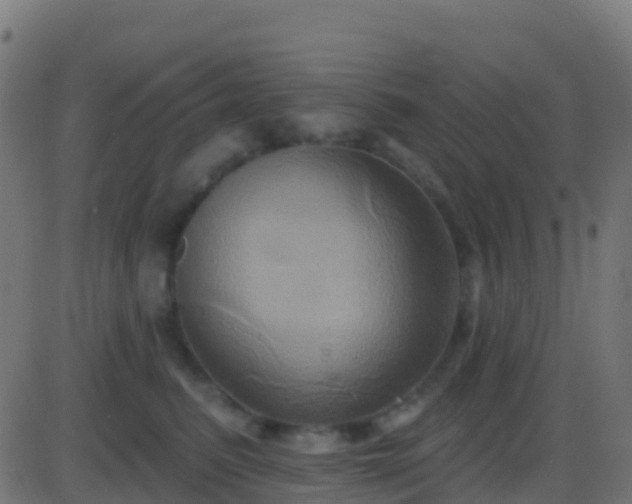 X0000086220615200704051242