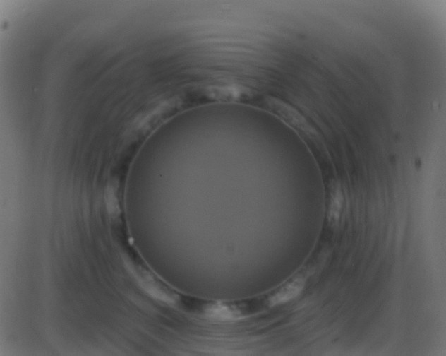 X0000086220616200704051242