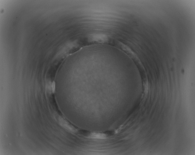 X0000086220617200704051242