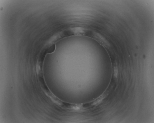 X0000086220618200704051242