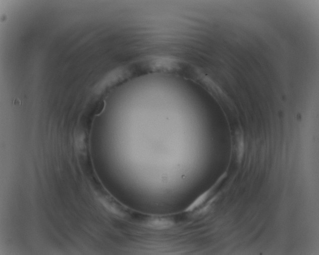 X0000086220619200704051242