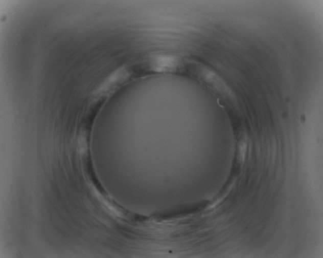 X0000086220620200704051242