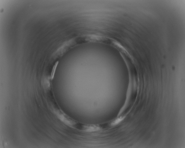 X0000086220621200704051242