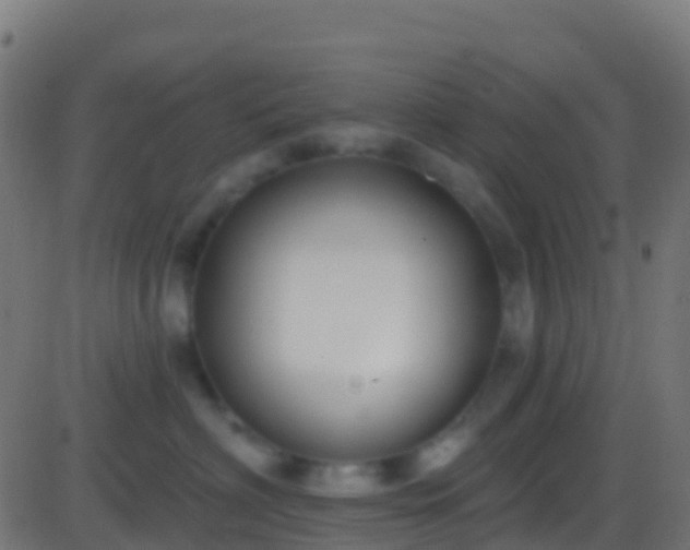 X0000086220622200704051242