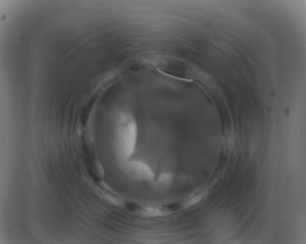 X0000086220623200704051242