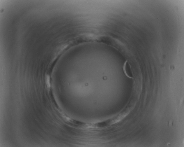 X0000086220624200704051242