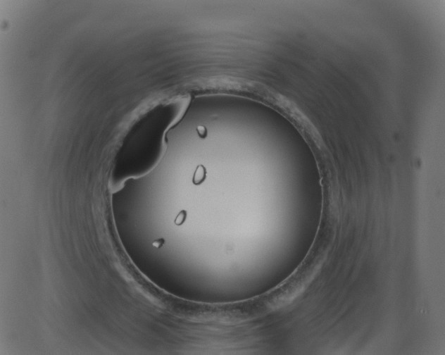 X0000086220625200704051241