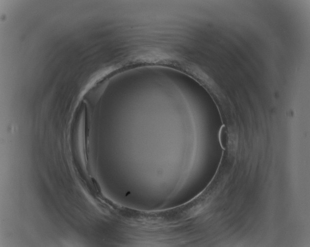 X0000086220626200704051241