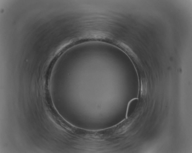 X0000086220627200704051241